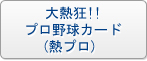 大熱狂!!プロ野球カード(熱プロ)  RMT