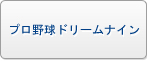プロ野球ドリームナイン RMT